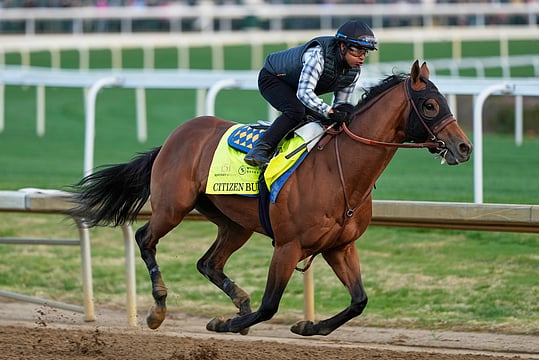 Kentucky Derby 2025 Live Streaming: How To Watch, Top Contenders, And What To Expect In 151st Running - All You Need To Know