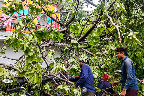 Tree falls on sprinter Sangeeta Kumar's house
