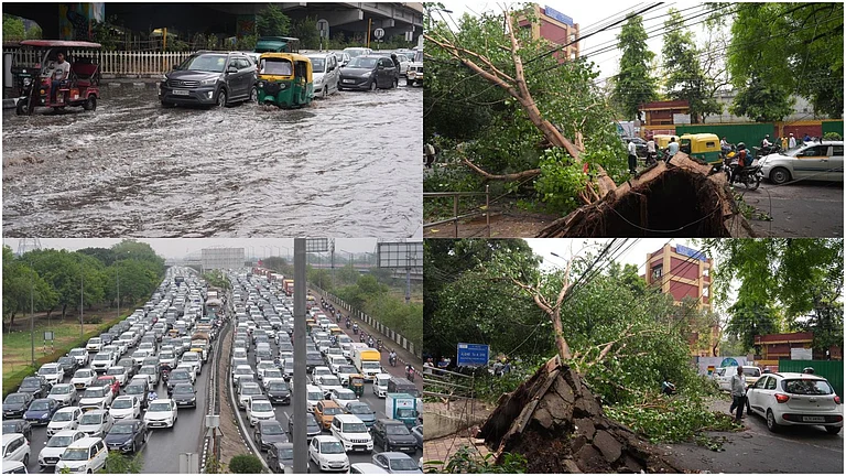 Heavy rainfall and strong winds led to traffic congestion and tree uprooting in Delhi-NCR  - PTI/Tribhuvan Tiwari