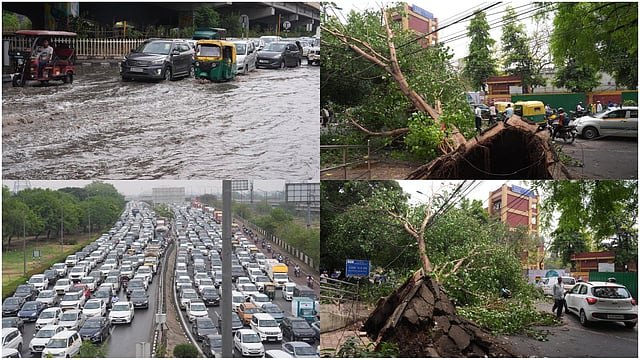 Delhi Weather: 4 Dead, 7 Injured Due To Tree Felling, Wall Collapse Across Delhi; CM Rekha Gupta Reviews Situation