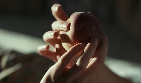 Call Me By Your Name Still