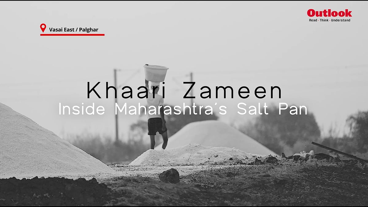 WATCH | Mumbai’s ₹53,000 Crore Salt Pans Face Redevelopment—But What About the Workers?