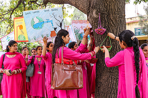 Save Water, Save Birds campaign