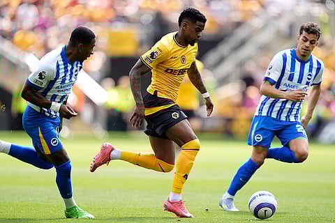 Premier League 2024-25: Wolverhampton Wanderers and Brighton