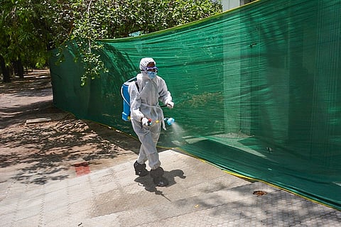 Bird flu scare in UP