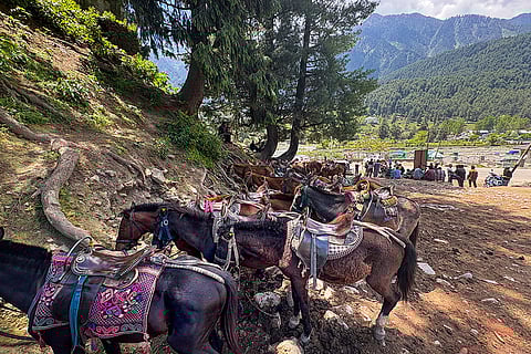 Sharp decline tourism in Pahalgam