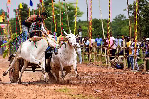 Kollapuradamma Jatra Mahotsava