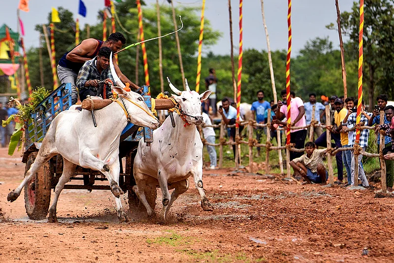 Kollapuradamma Jatra Mahotsava