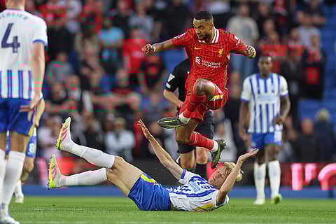 EPL 2024-25: Brighton vs Liverpool 