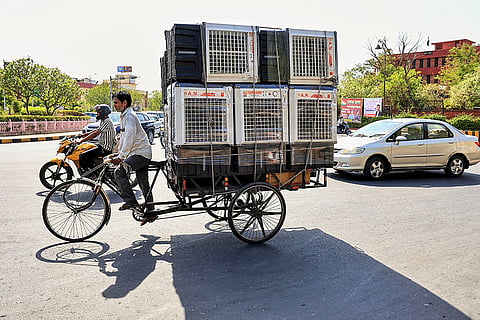 Weather: Hot weather in Jaipur
