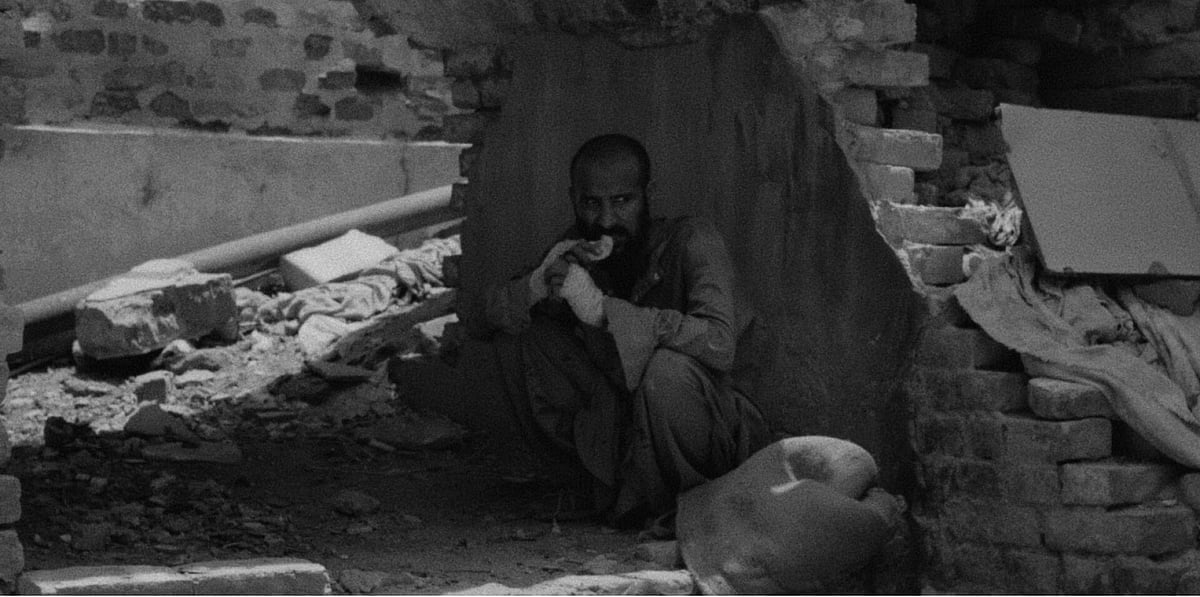 Aleem Bukhari : Still