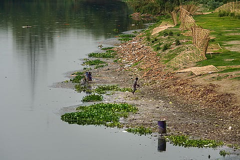 Yamuna river pollution