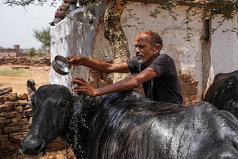 Karauli's Water Revolution