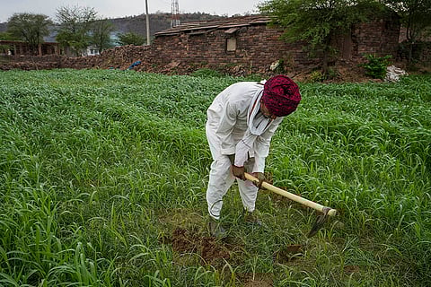Karauli's Water Revolution