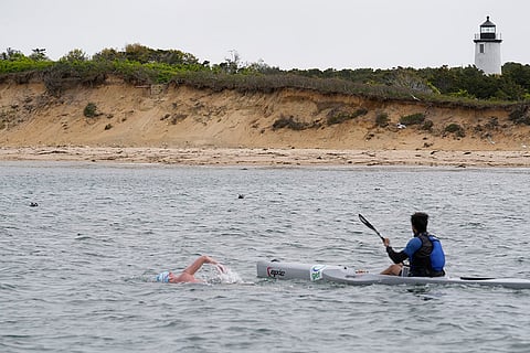 Jaws Anniversary Shark Swim