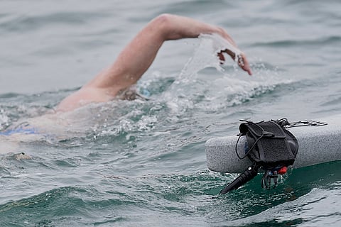 Jaws Anniversary Shark Swim