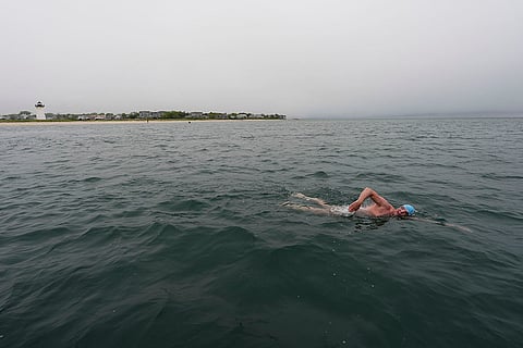 Jaws Anniversary Shark Swim