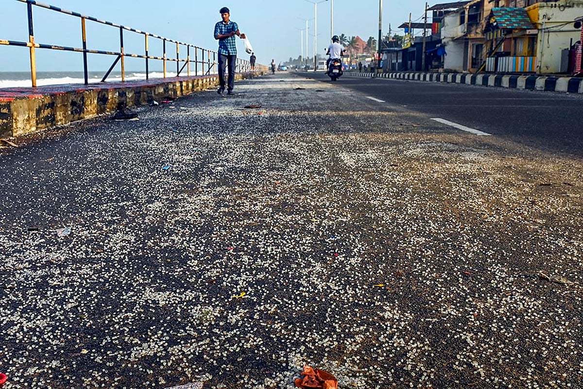 Polyethylene granules spilled in Thiruvananthapuram
