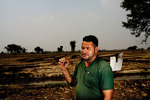 Additional Burden: Gurvinder Singh of Daoke, Amritsar, says farmers like him shared fodder with others this year as their agricultural work was interrupted by the India-Pakistan conflict
