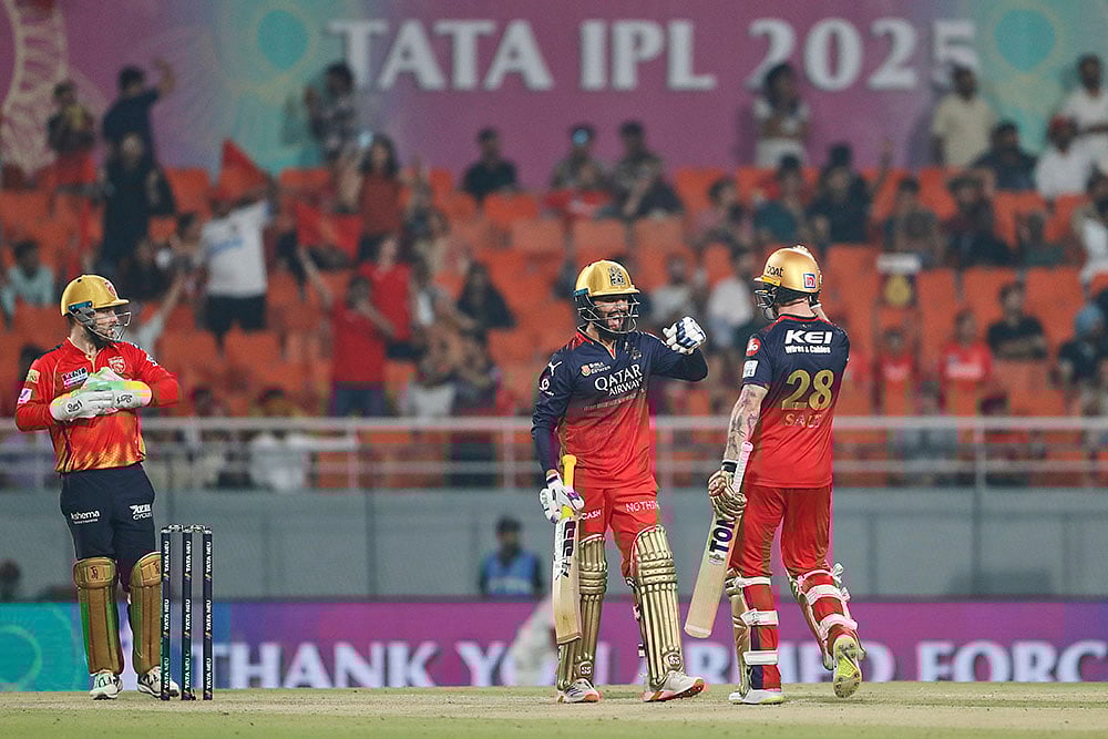 | Photo: AP : IPL 2025 Qualifier 1: Punjab Kings vs Royal Challengers Bengaluru