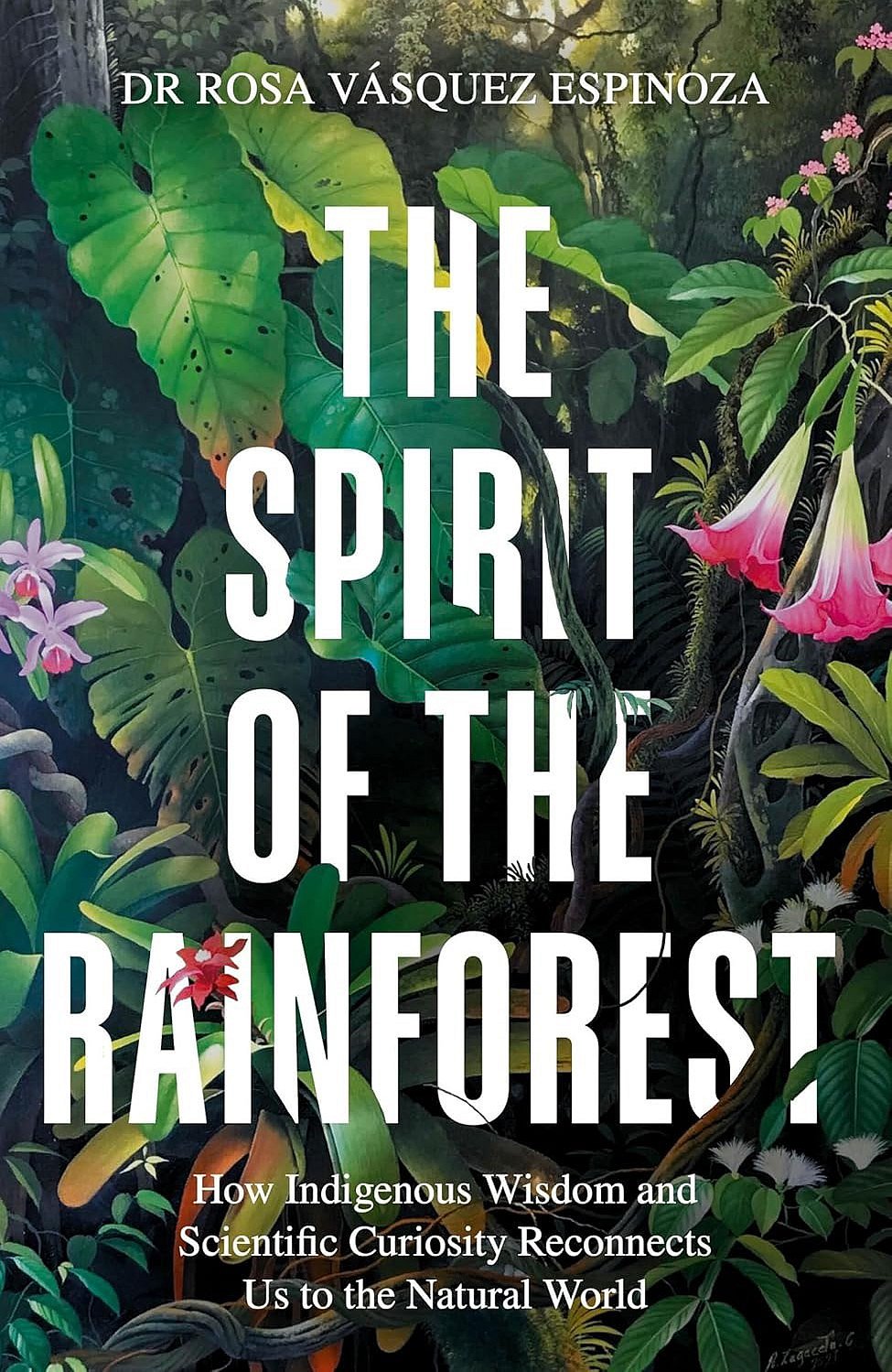 The Spirit Of The Rainforest