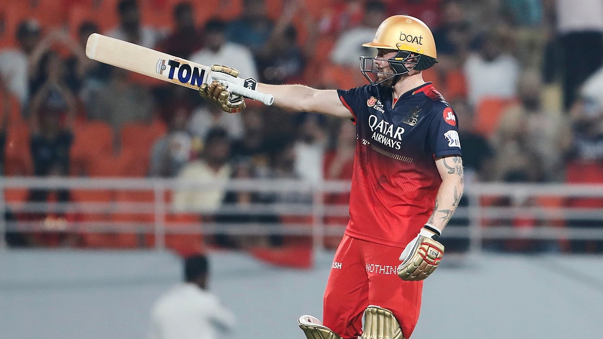 | Photo: AP : Royal Challengers Bengaluru's Phil Salt celebrates after scoring fifty runs during the IPL 2025 match against Punjab Kings and Royal Challengers Bengaluru on May 29, 2025.
