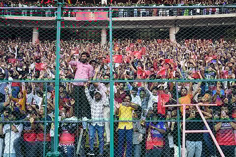 RCB IPL Win Stampede