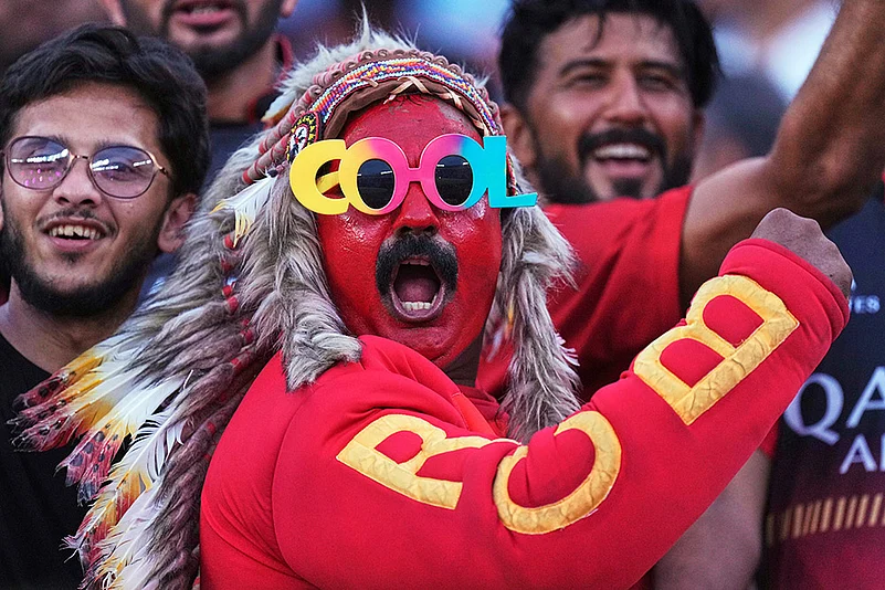 IPL 2025 Final RCB vs PBKS: RCB Victory Celebrations