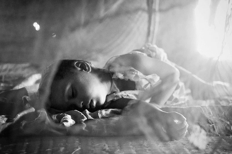 The Hungry Tide, July 2016, Ghoramara Island, Digital Photograph