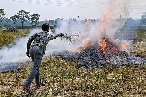 Stubble burning on World Environment Day in West Bengal