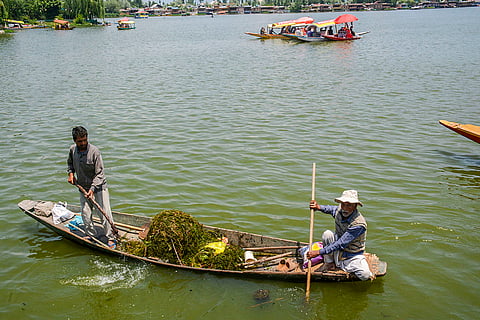 World Environment Day in Srinagar