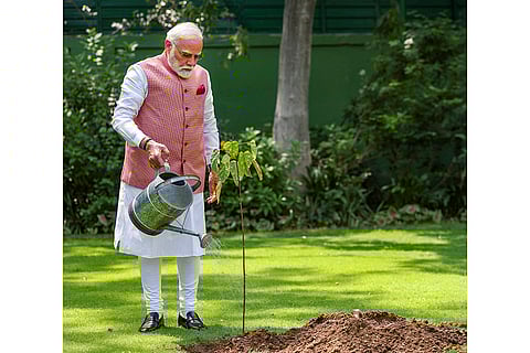 PM Modi plants sapling