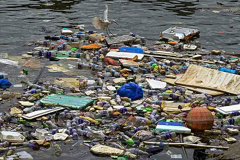 Plastic waste floats near the Vizhinjam Fishing Harbour in Thiruvananthapuram
