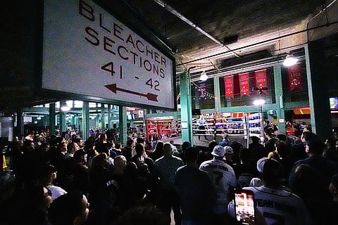 Historic Fenway Boxing