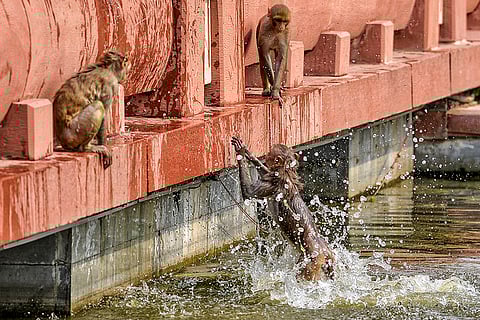 Hot summer day in Delhi