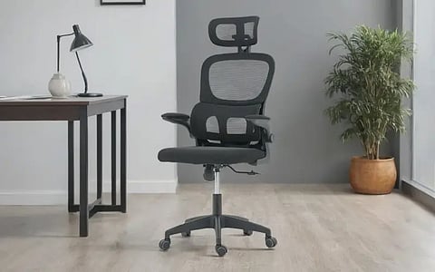 Royaloak Orion Mesh Chair