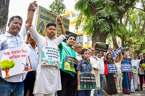 Protest against cutting of trees in Assam