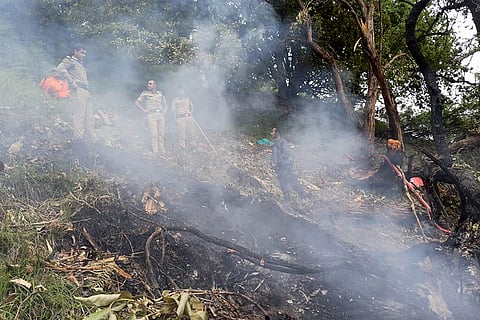 Seven killed in Uttarakhand helicopter crash