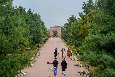 J&K Tourism: Badam Vaer/ Badamwari