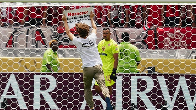 Manchester City Vs Wydad AC, FIFA Club World Cup: Animal-Rights Activist Runs Onto Pitch