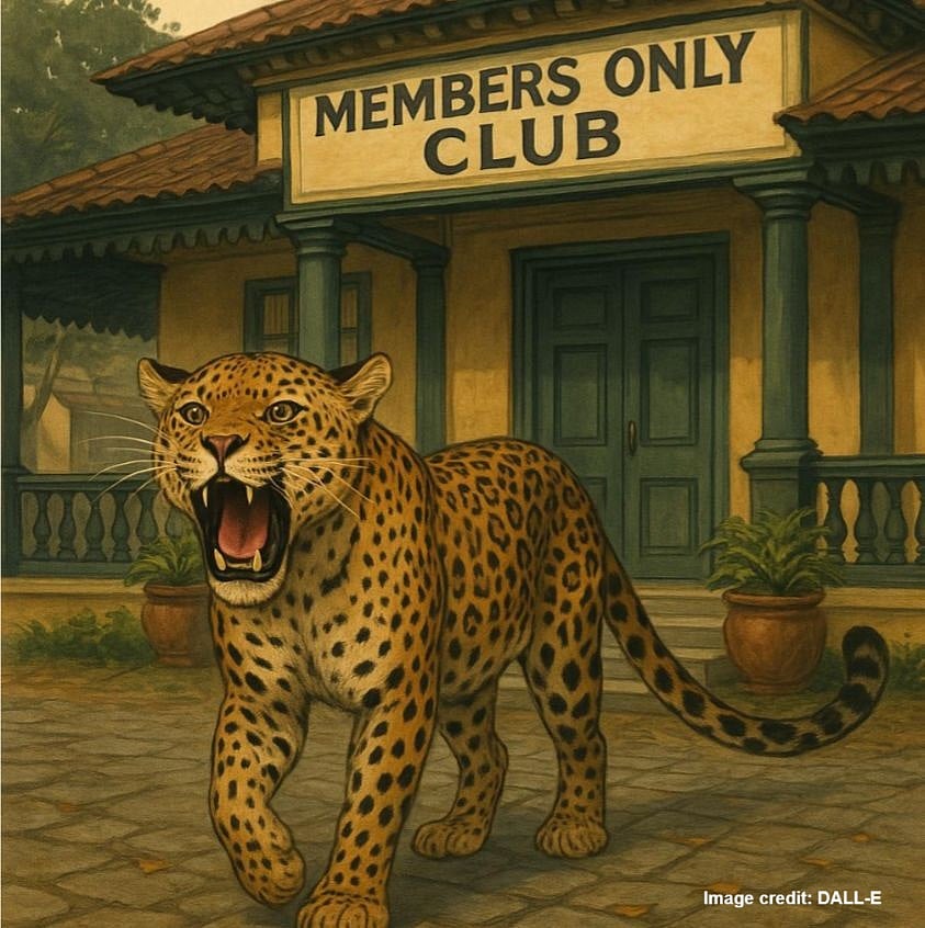 The Leopard On The Waiting List By Indradev Kadidal