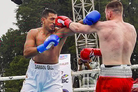 Pro boxing championship in Shimla