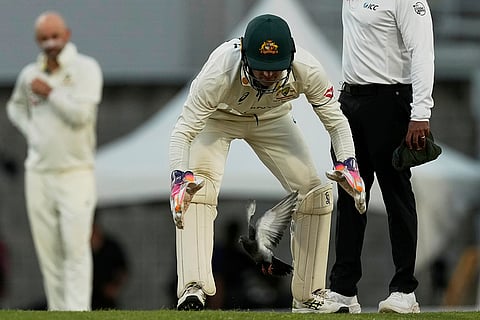 West Indies Vs Australia 1st Test Day 3