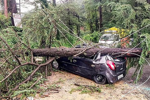 Weather: Rain in Shimla