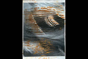 Photo: From the series ‘Cannibal Time’ by Naveen Kishore : Ever-evolving: Everything is a combination of what’s observed, what’s imagined, what’s overheard