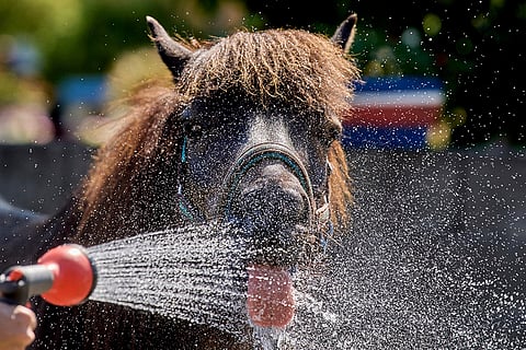 Germany Extreme Weather Heat