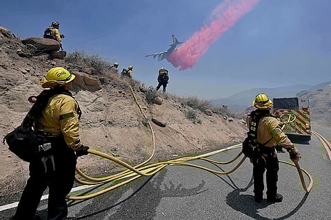 Wolf Fire in California