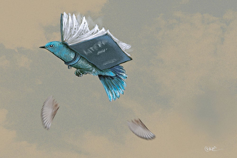 Illustration: Vikas Thakur - null