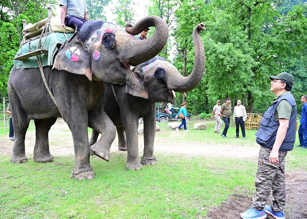 Uttarakhand CM Dhami interacting with elephants at the Corbett National Park