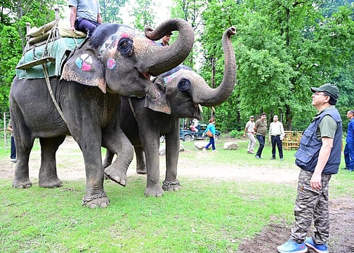CM Dhami Experiences Jungle Safari At Corbett, Over 1000 Trees Planted Under ‘One Tree For Mother’ Campaign